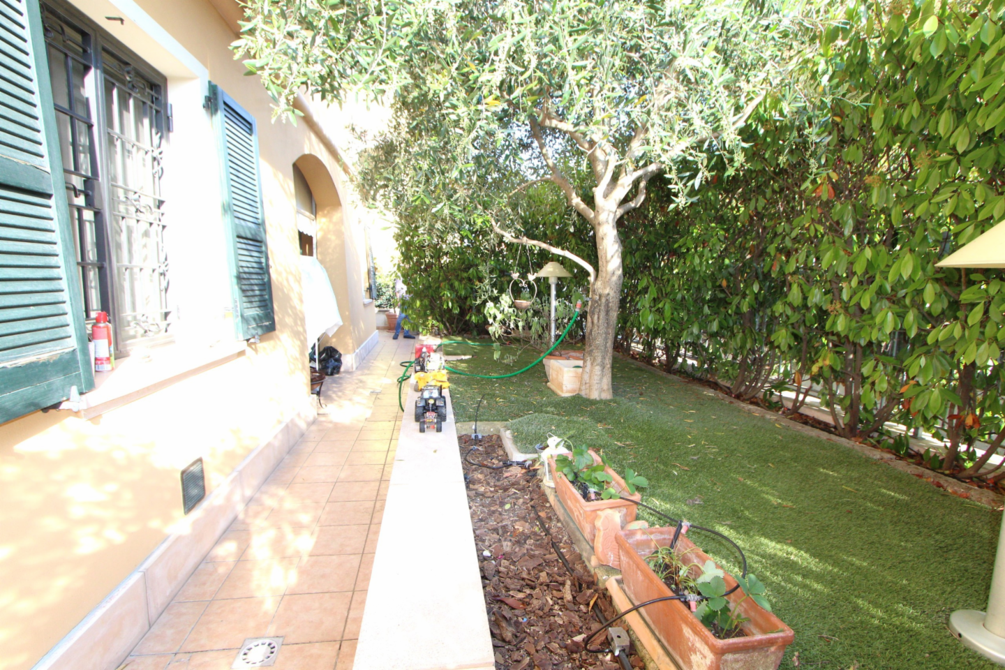 immagine annuncio 3 di 10