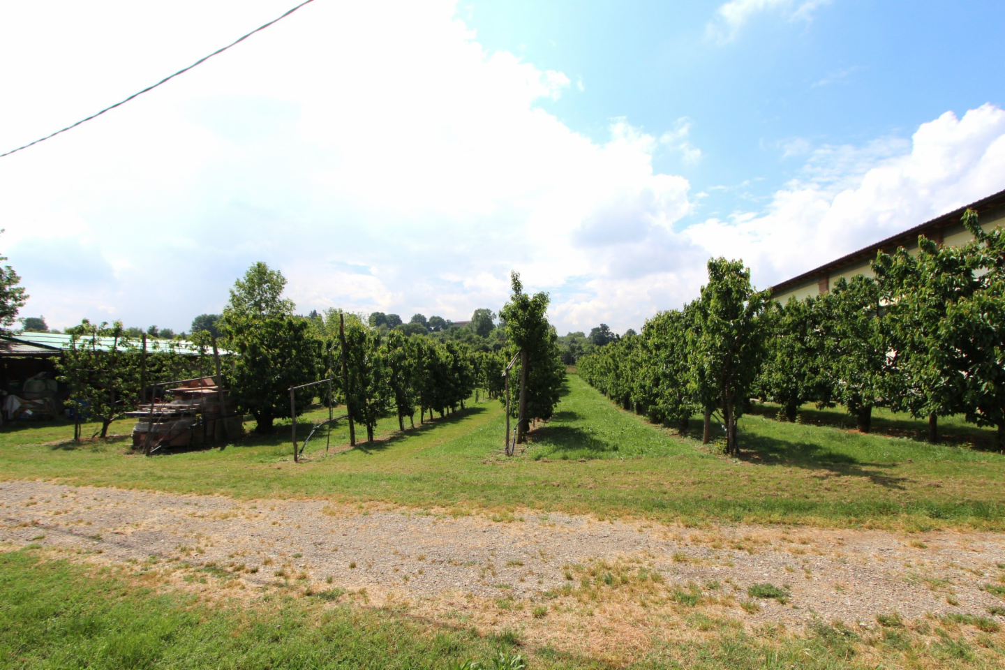 immagine annuncio 3 di 10