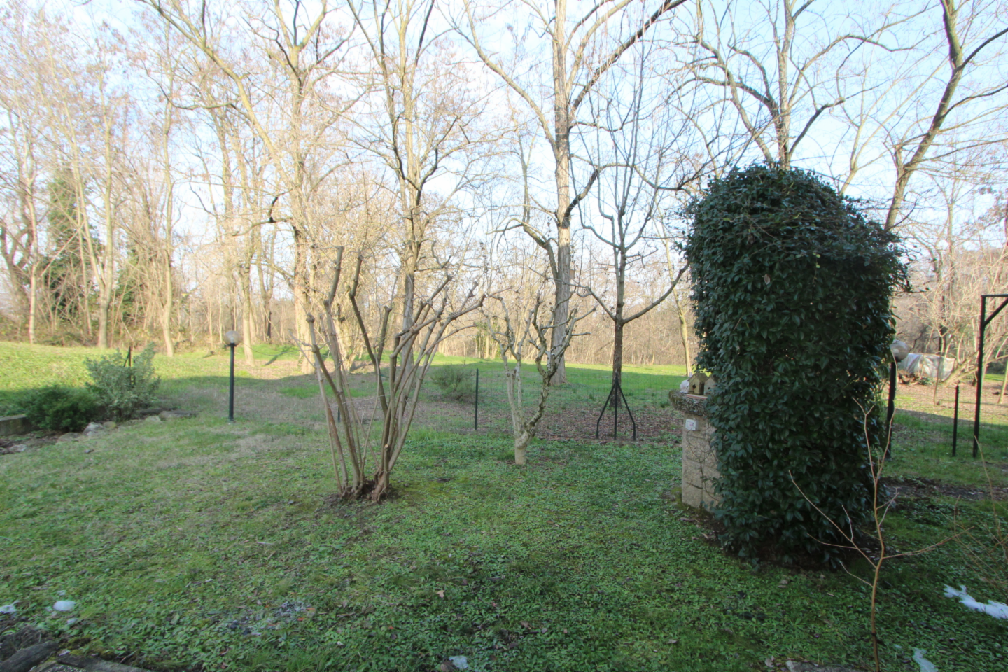 immagine annuncio 4 di 10