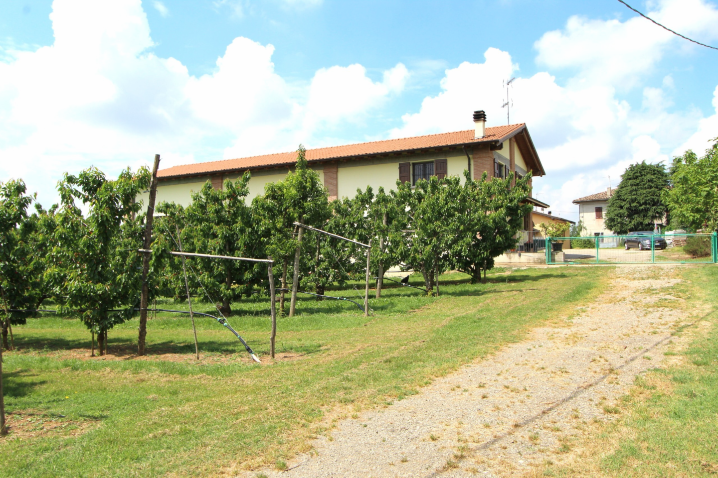 immagine annuncio 6 di 10