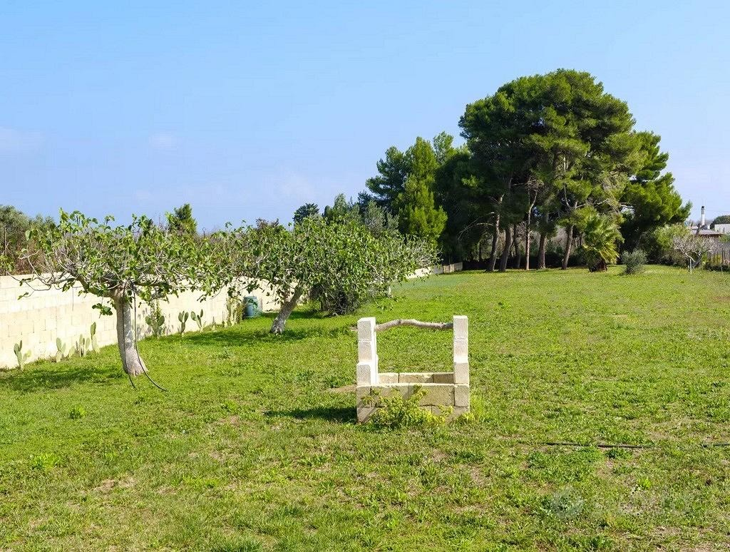 immagine annuncio 3 di 10