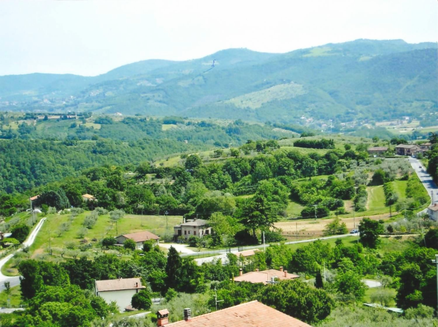 immagine annuncio 7 di 9