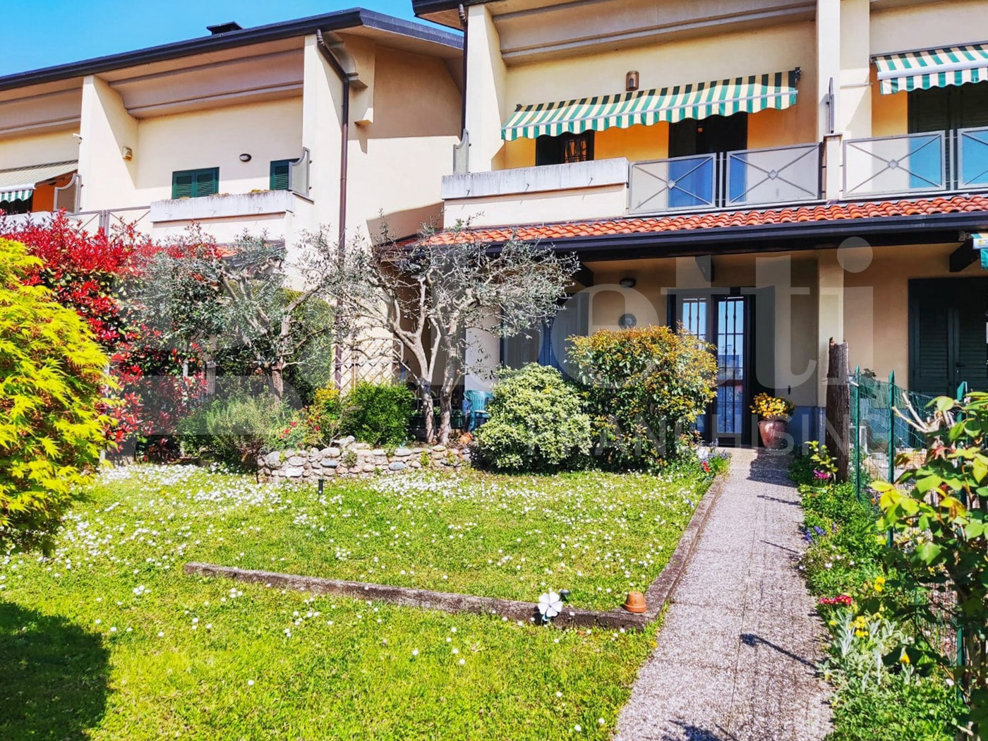 immagine annuncio 1 di 10