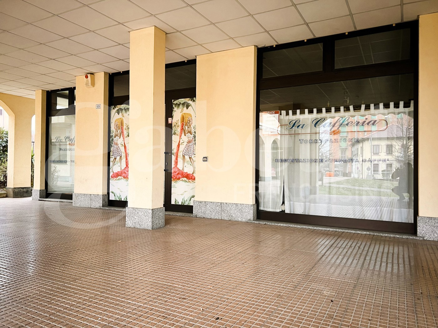 immagine annuncio 2 di 7