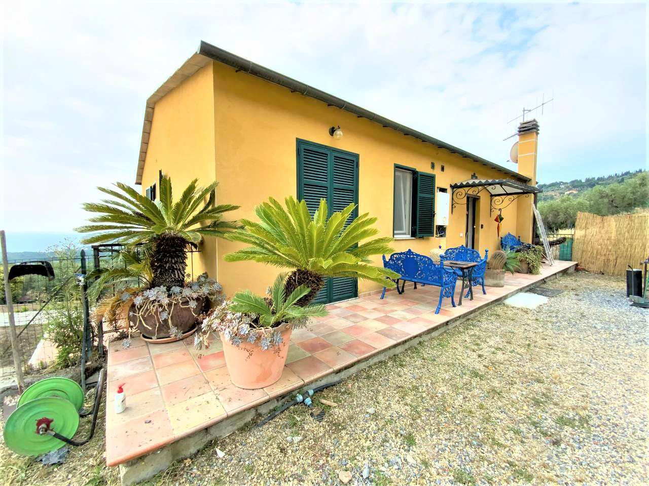 immagine annuncio 1 di 10