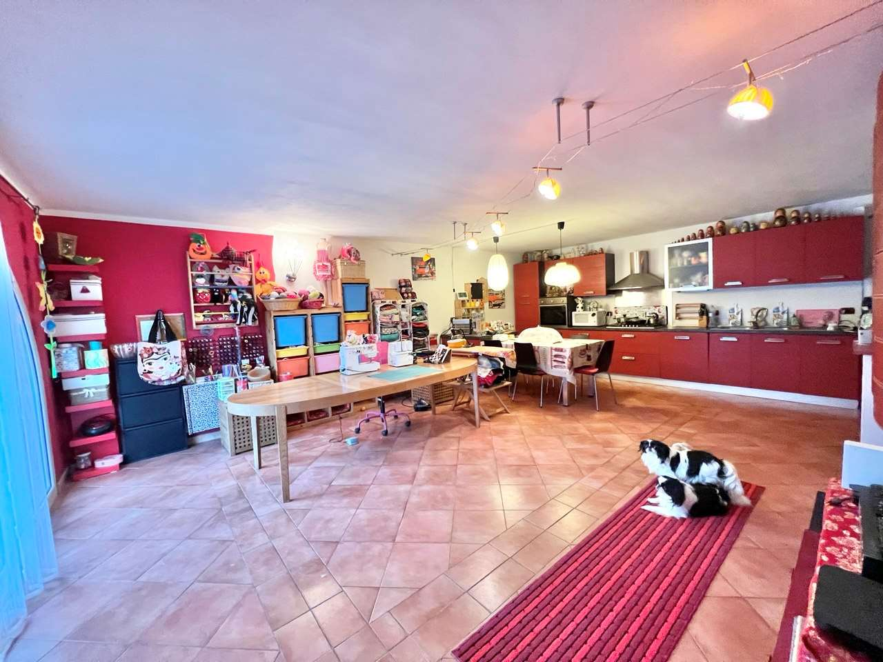 immagine annuncio 4 di 10