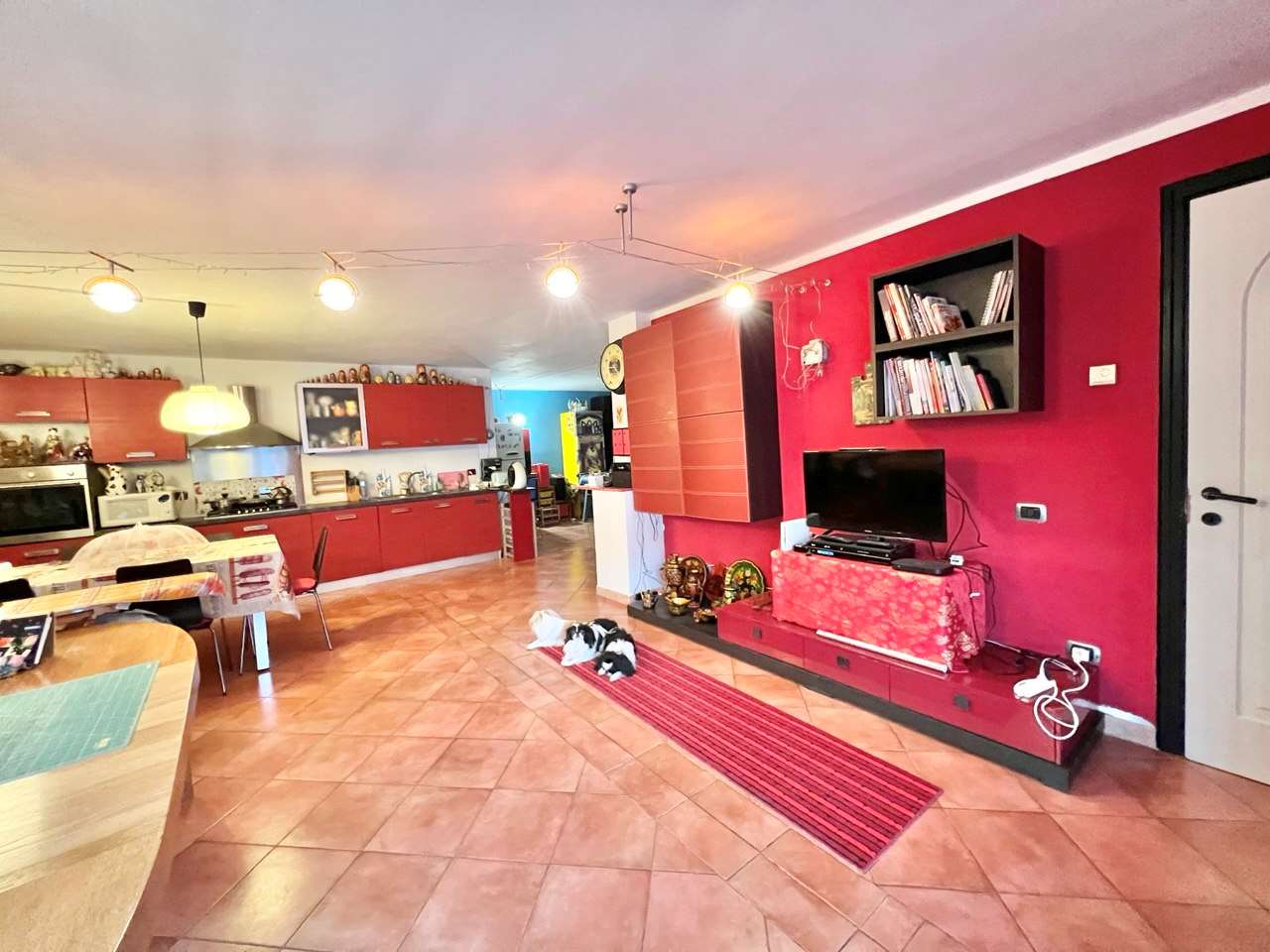 immagine annuncio 3 di 10