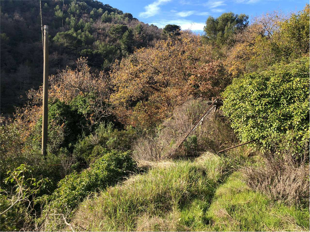 immagine annuncio 6 di 10