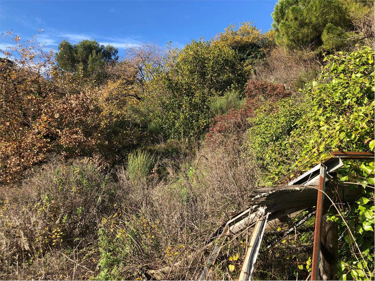 immagine annuncio 8 di 10