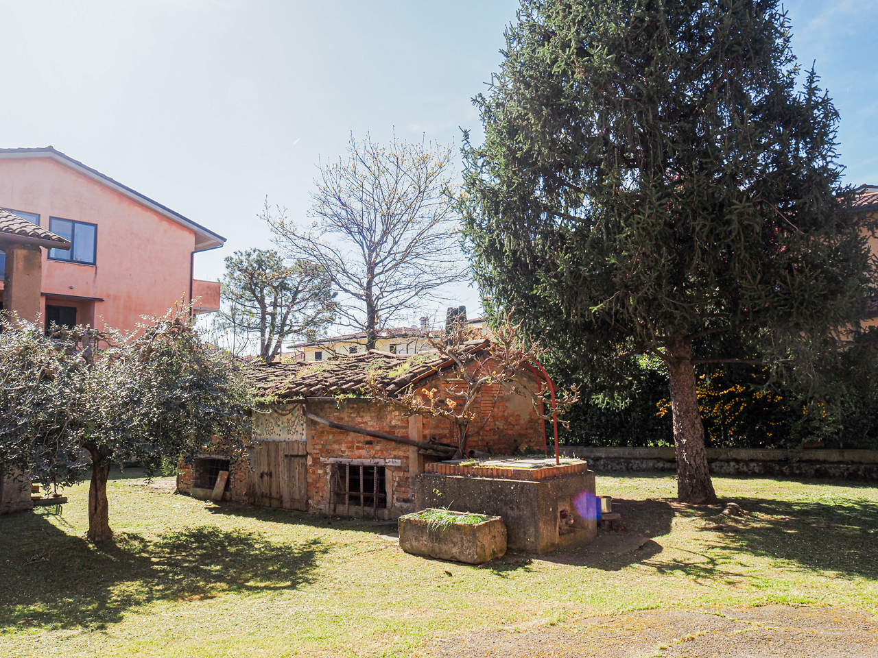 immagine annuncio 3 di 10