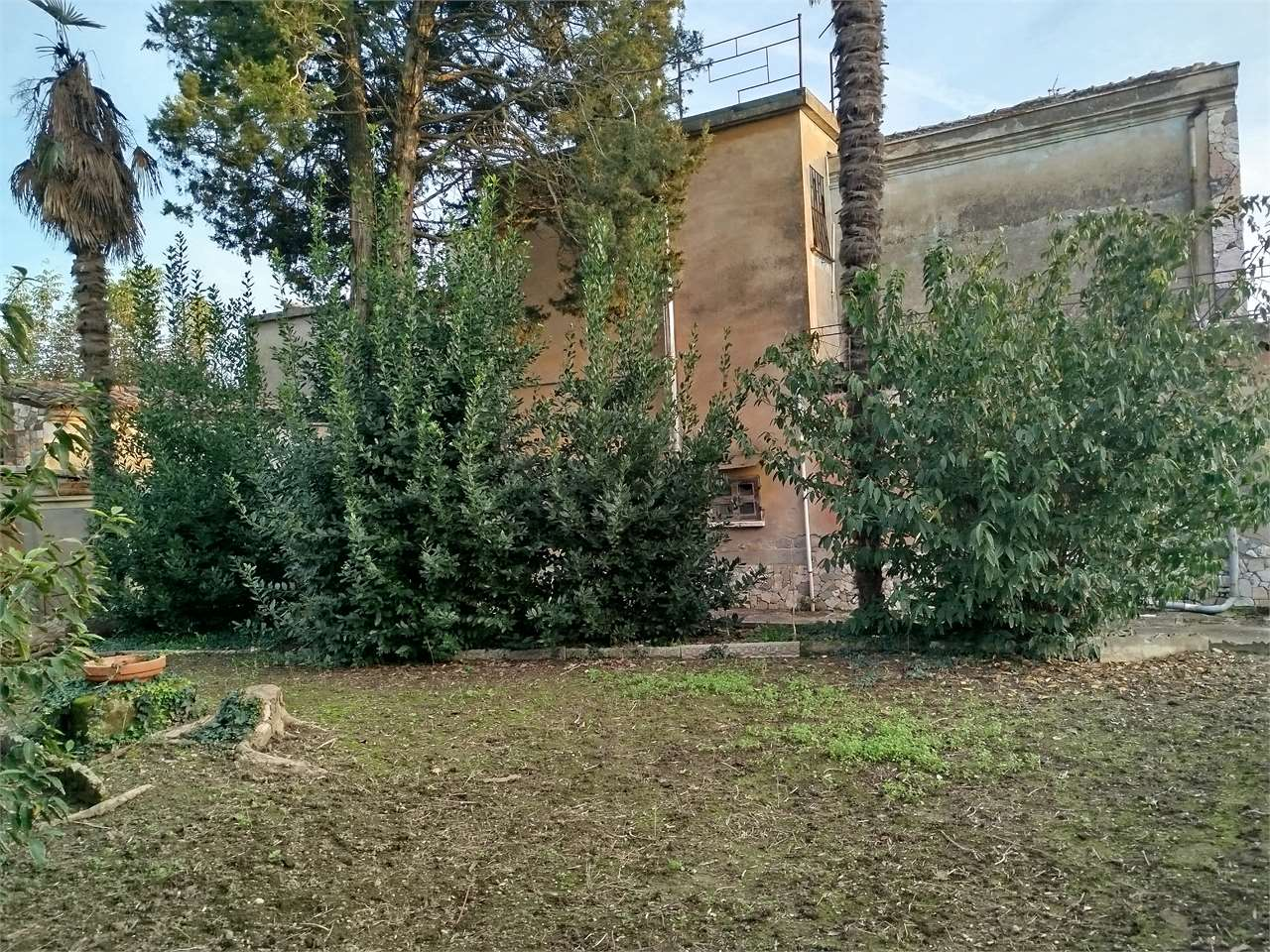 immagine annuncio 5 di 9