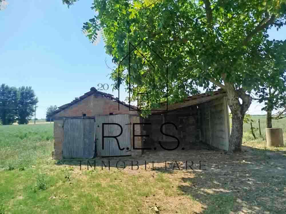 immagine annuncio 6 di 9