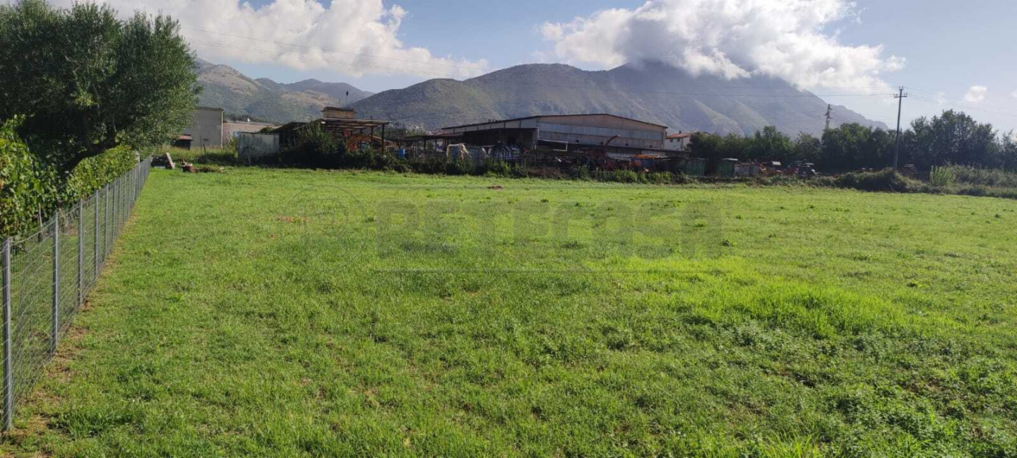 immagine annuncio 4 di 6