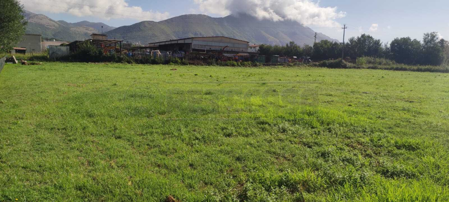 immagine annuncio 3 di 6