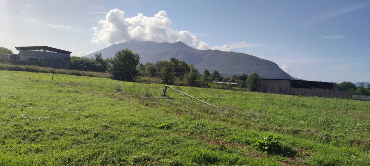 immagine annuncio 1 di 6