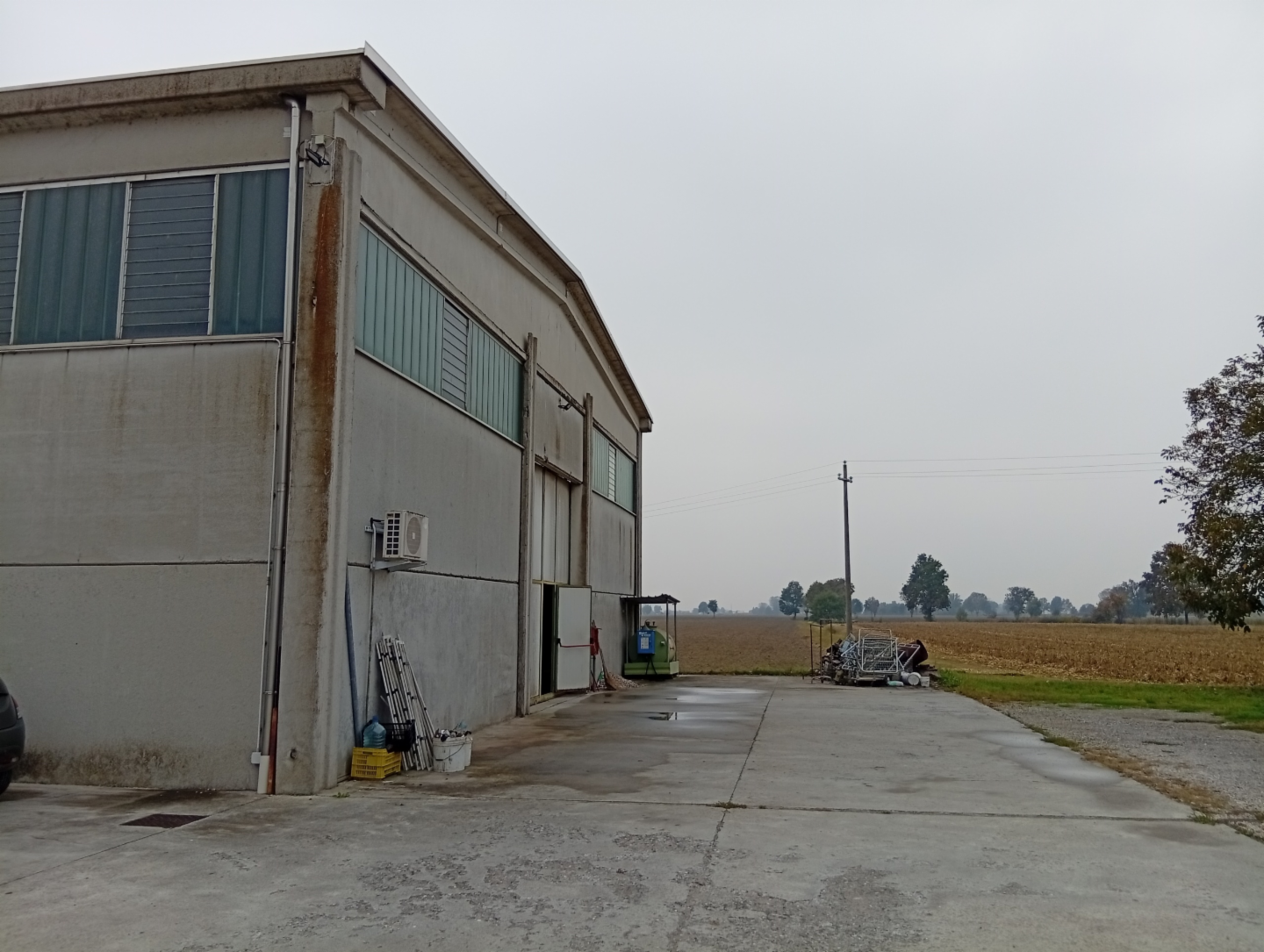 immagine annuncio 4 di 9