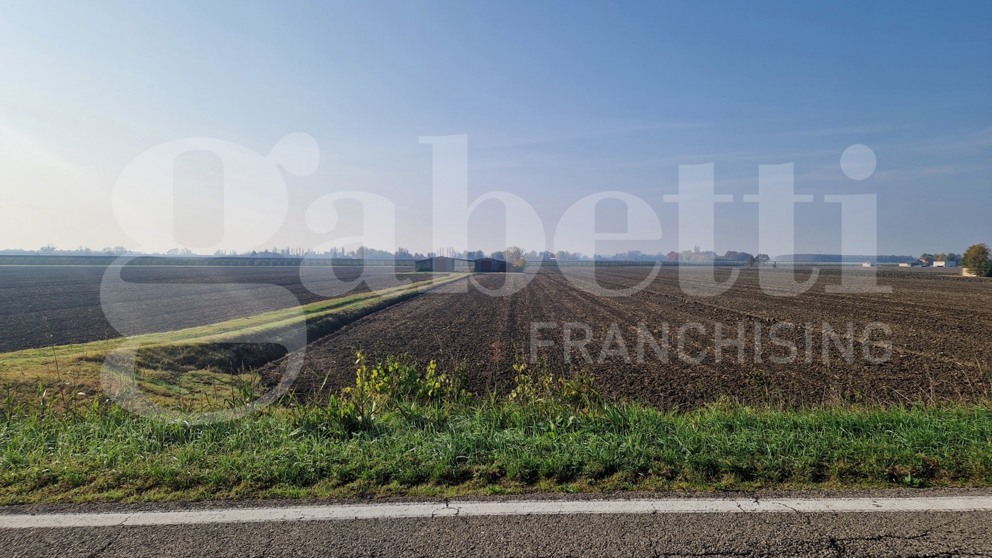 immagine annuncio 8 di 10