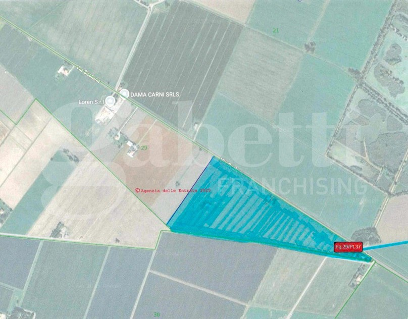 immagine annuncio 5 di 10