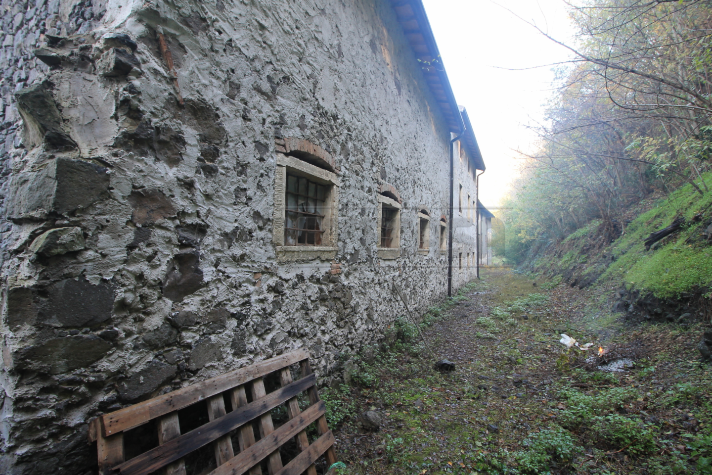 immagine annuncio 5 di 6