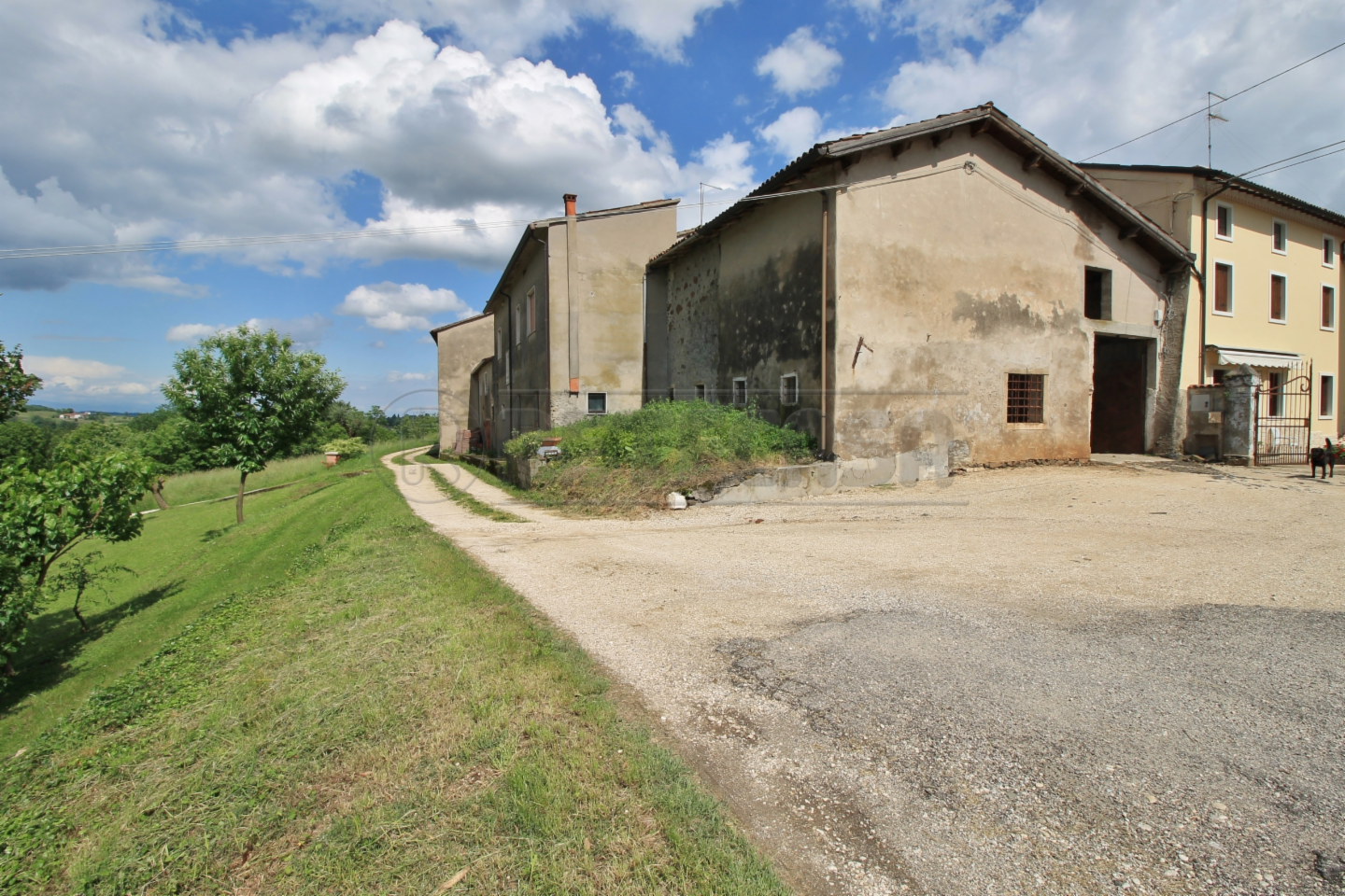 immagine annuncio 1 di 10