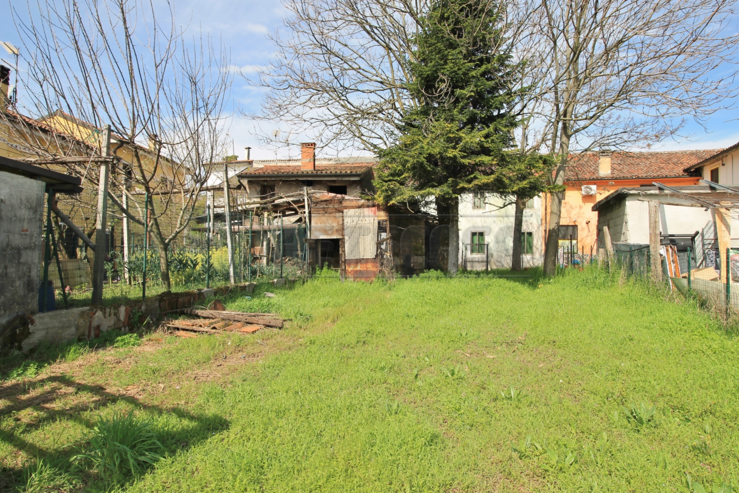 immagine annuncio 5 di 7