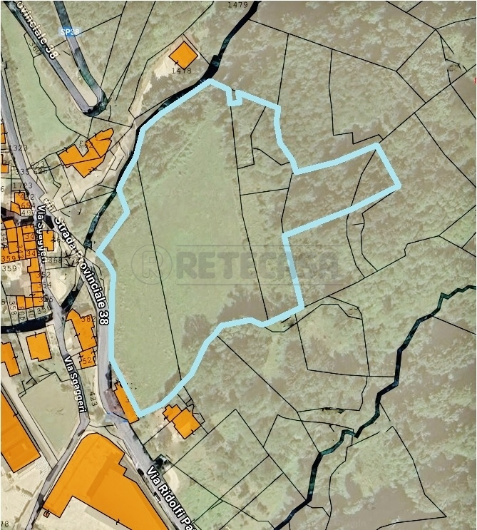 immagine annuncio 2 di 10