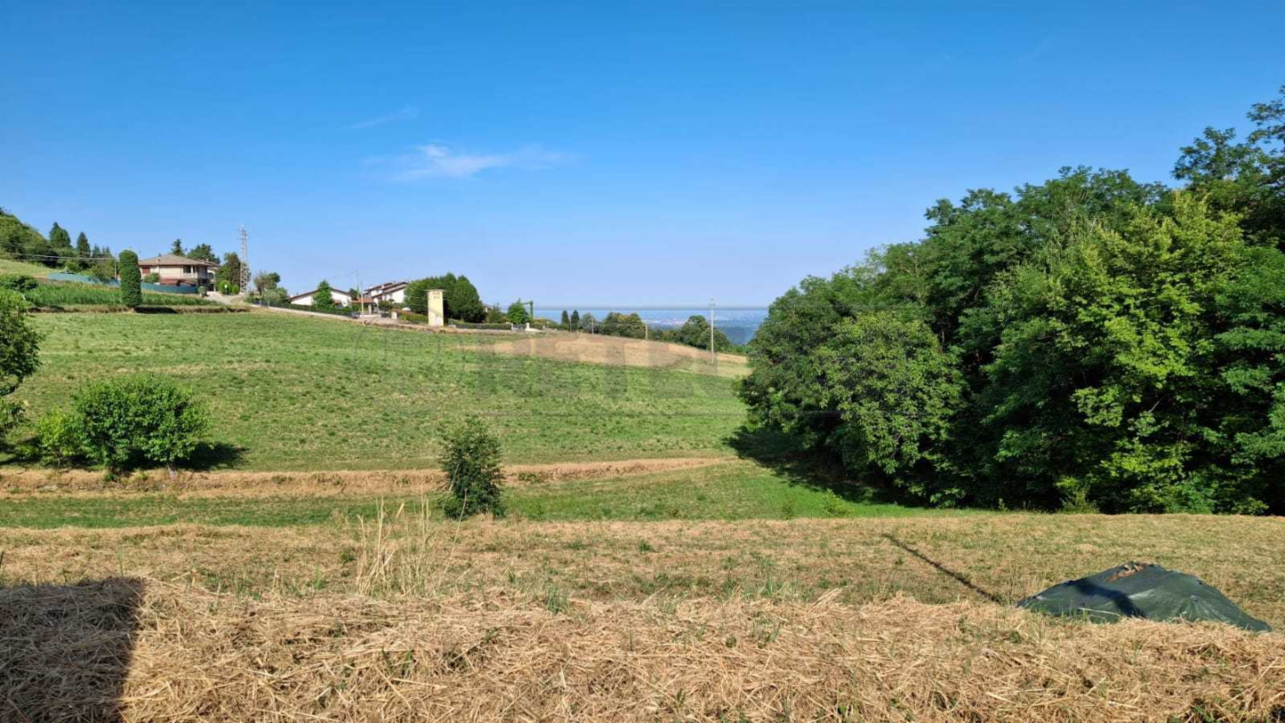 immagine annuncio 1 di 8