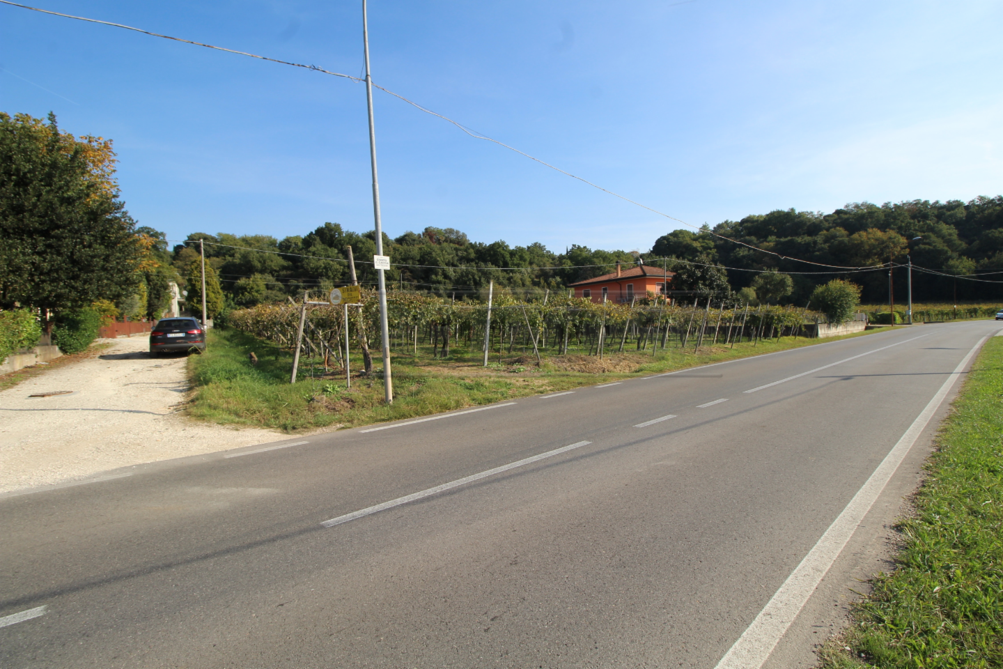 immagine annuncio 2 di 7