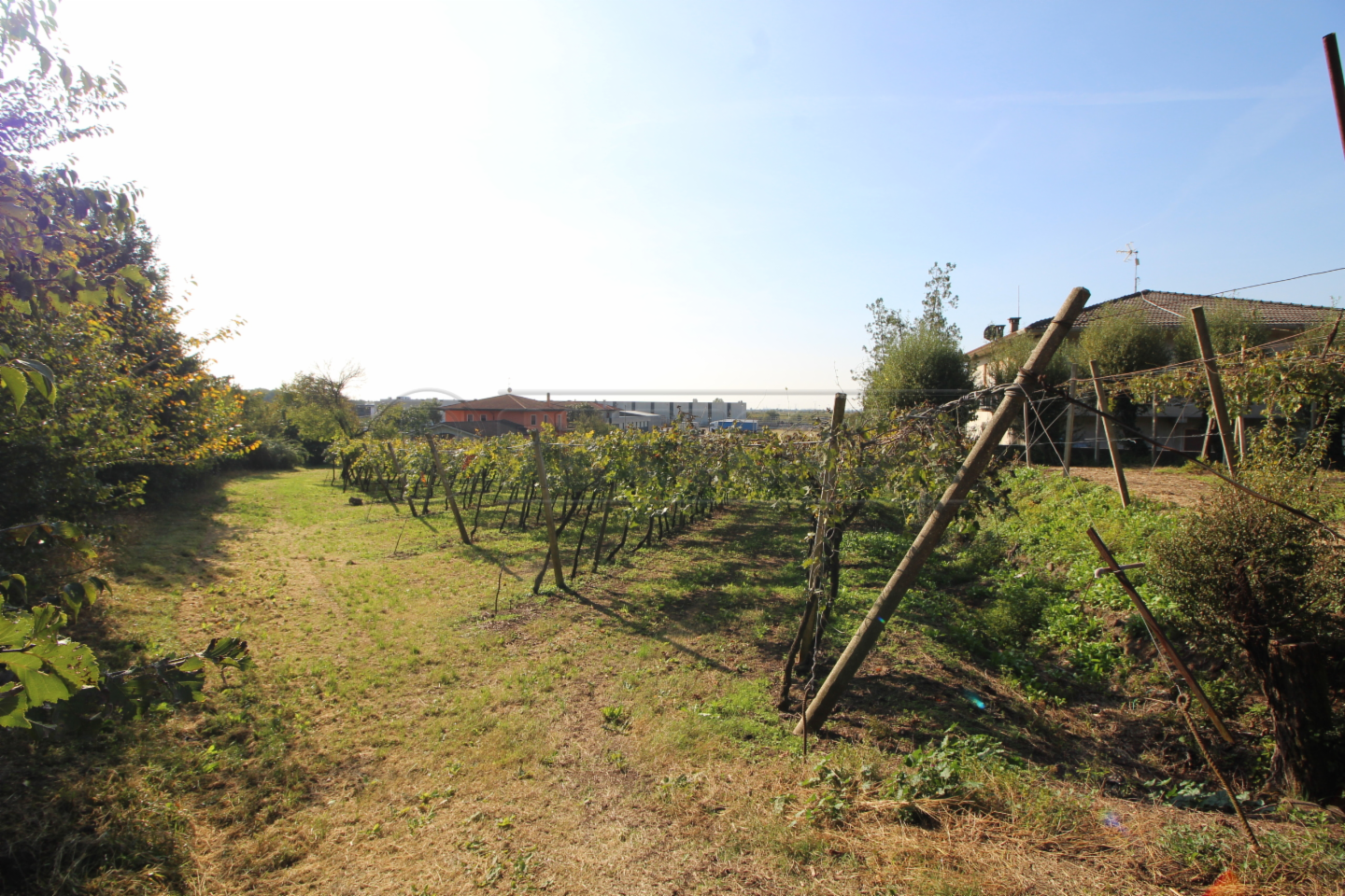 immagine annuncio 4 di 7