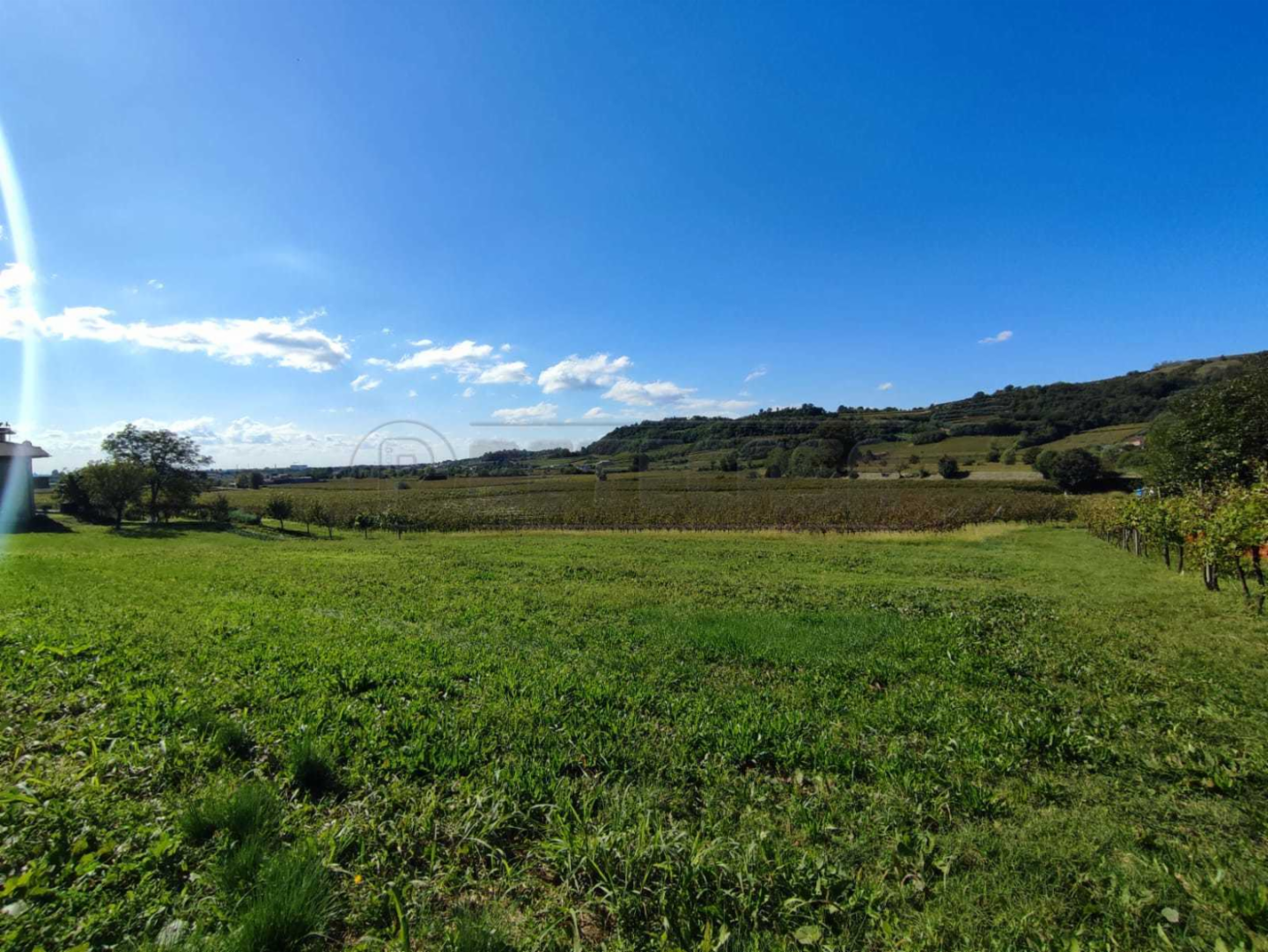 immagine annuncio 1 di 6