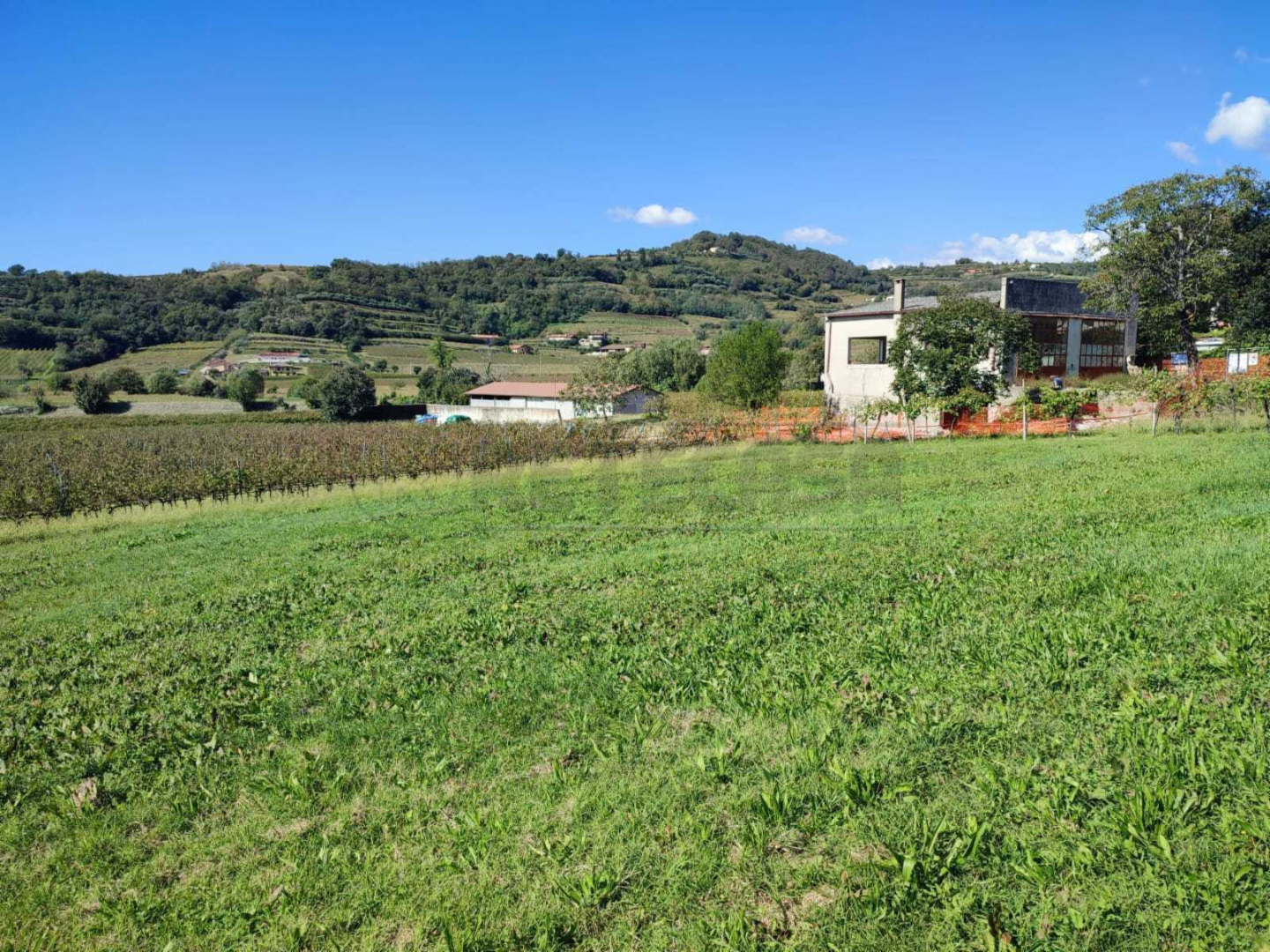 immagine annuncio 4 di 6