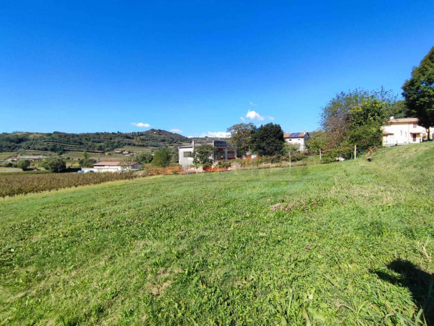 immagine annuncio 3 di 6