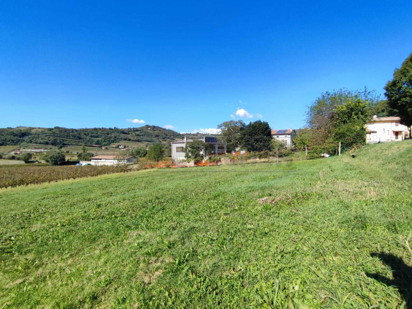 immagine annuncio 5 di 6