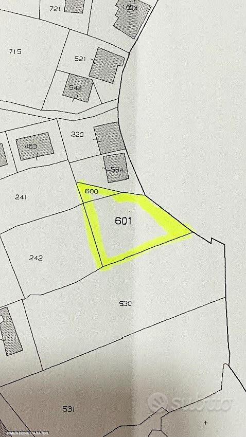 immagine annuncio 2 di 4