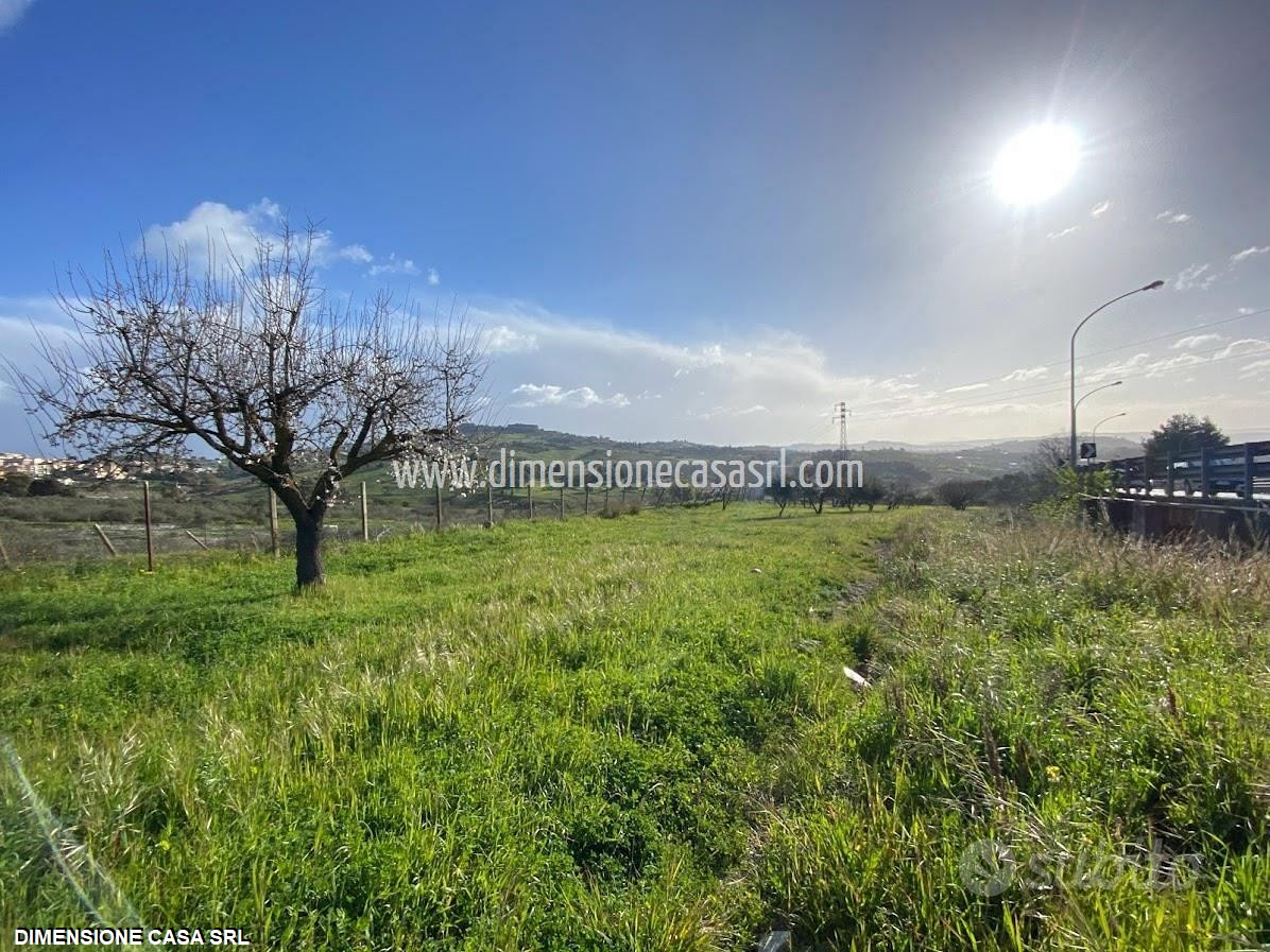 immagine annuncio 6 di 7