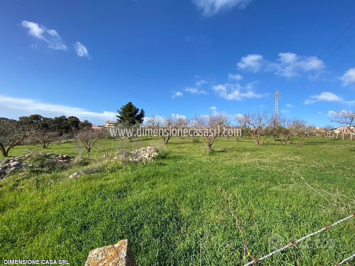 immagine annuncio 5 di 7