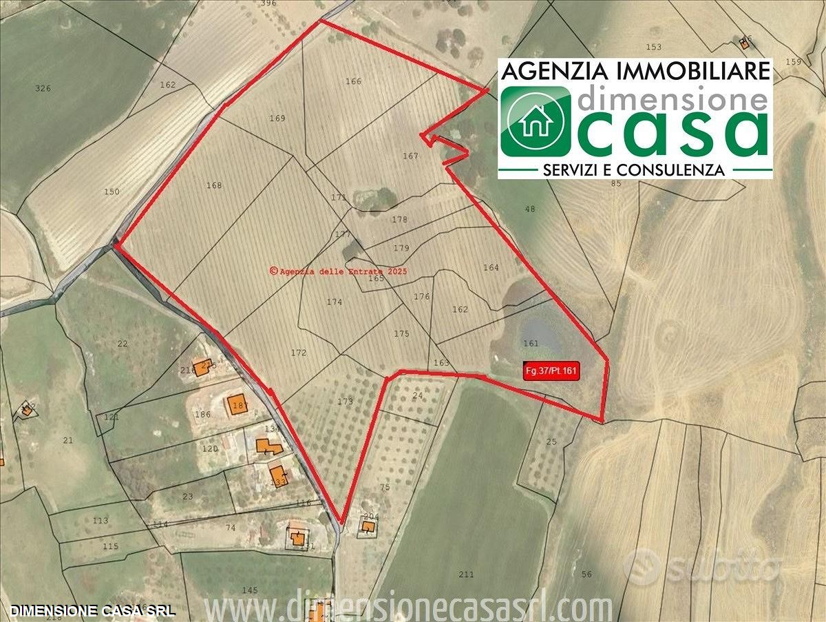 immagine annuncio 2 di 6