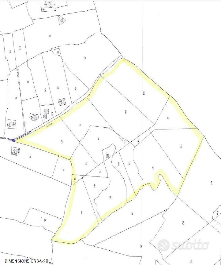 immagine annuncio 4 di 6