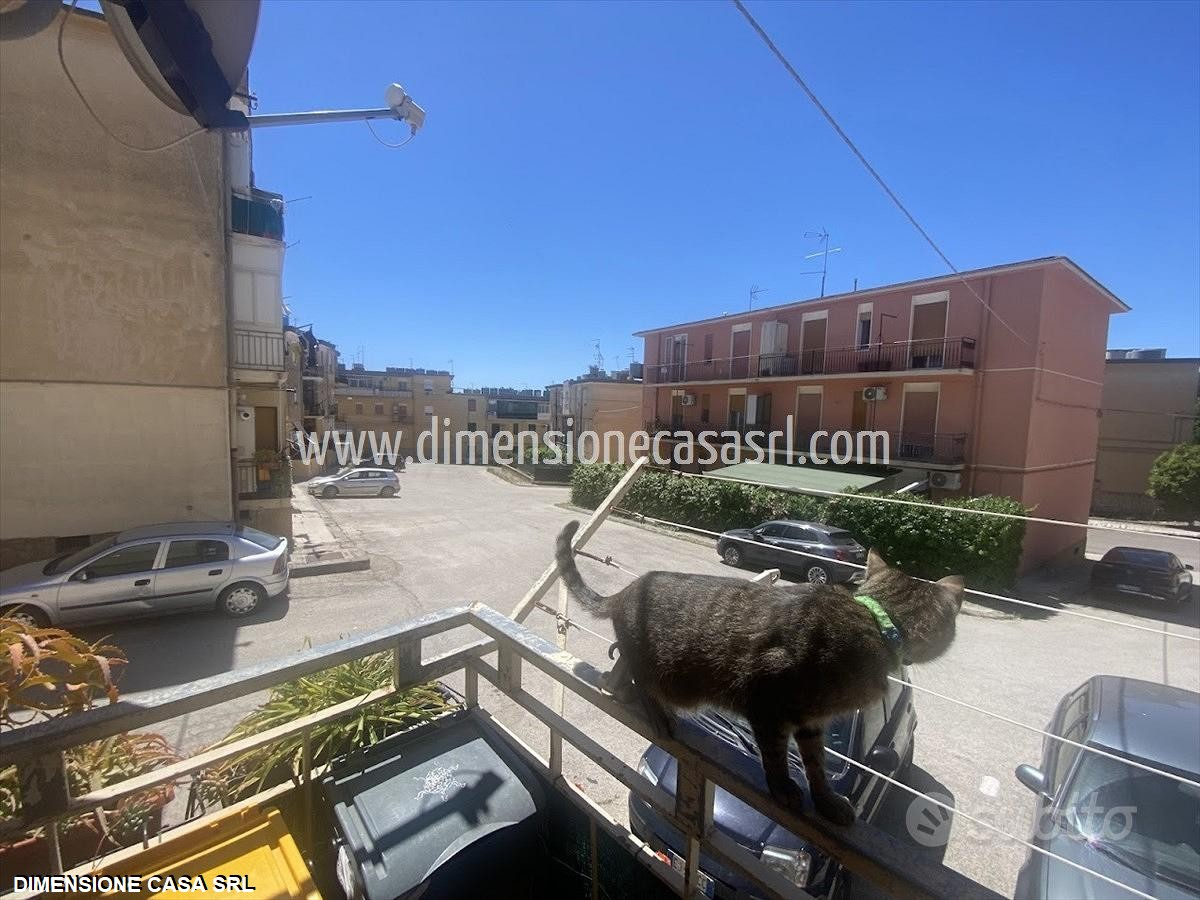 immagine annuncio 9 di 10