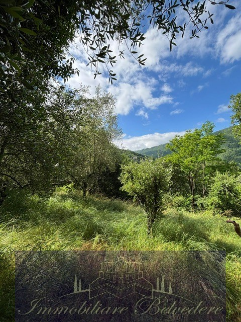 immagine annuncio 3 di 8