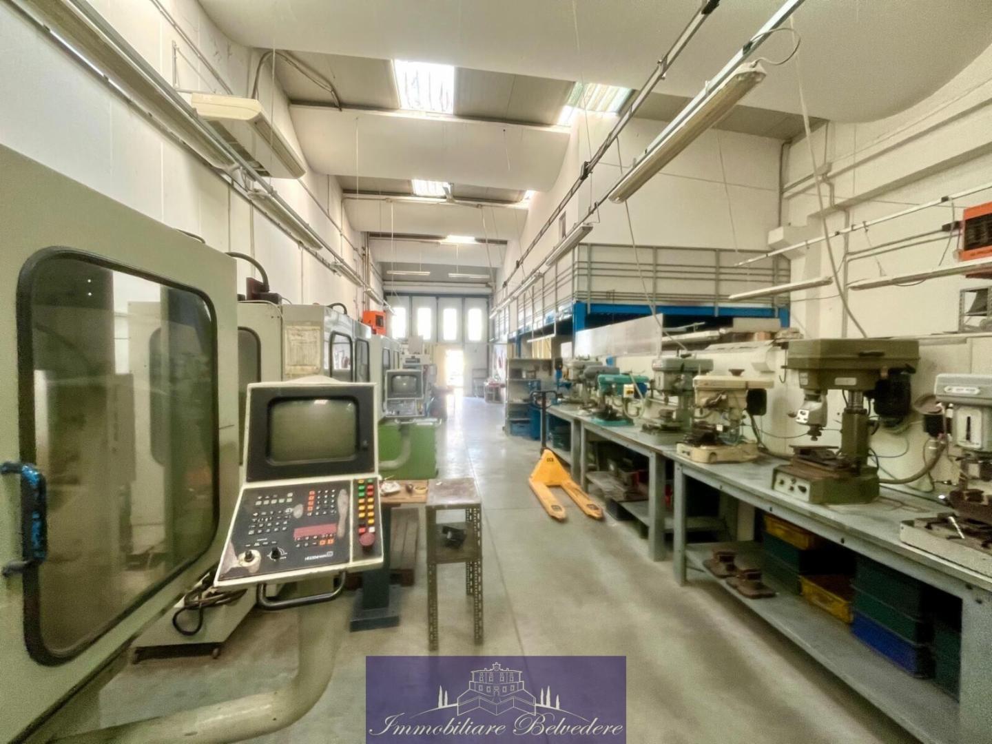 immagine annuncio 6 di 10