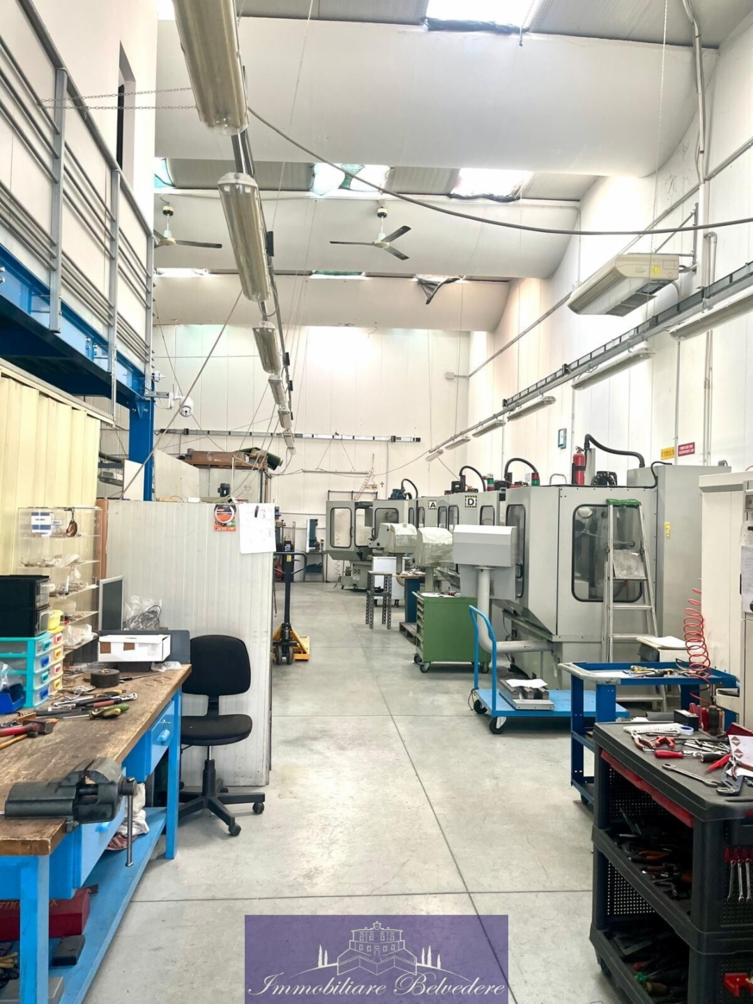 immagine annuncio 8 di 10