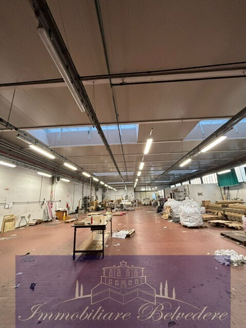 immagine annuncio 2 di 8