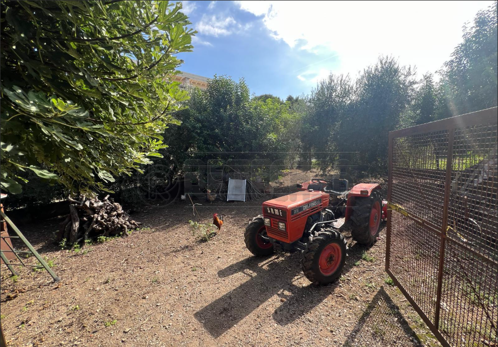 immagine annuncio 1 di 6