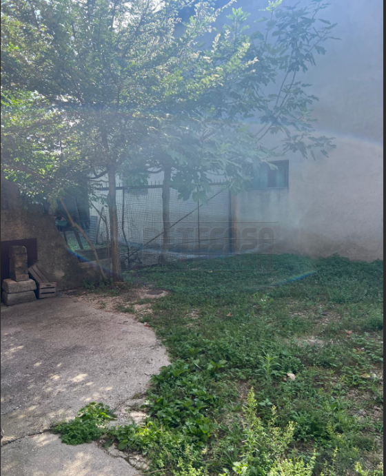 immagine annuncio 4 di 6