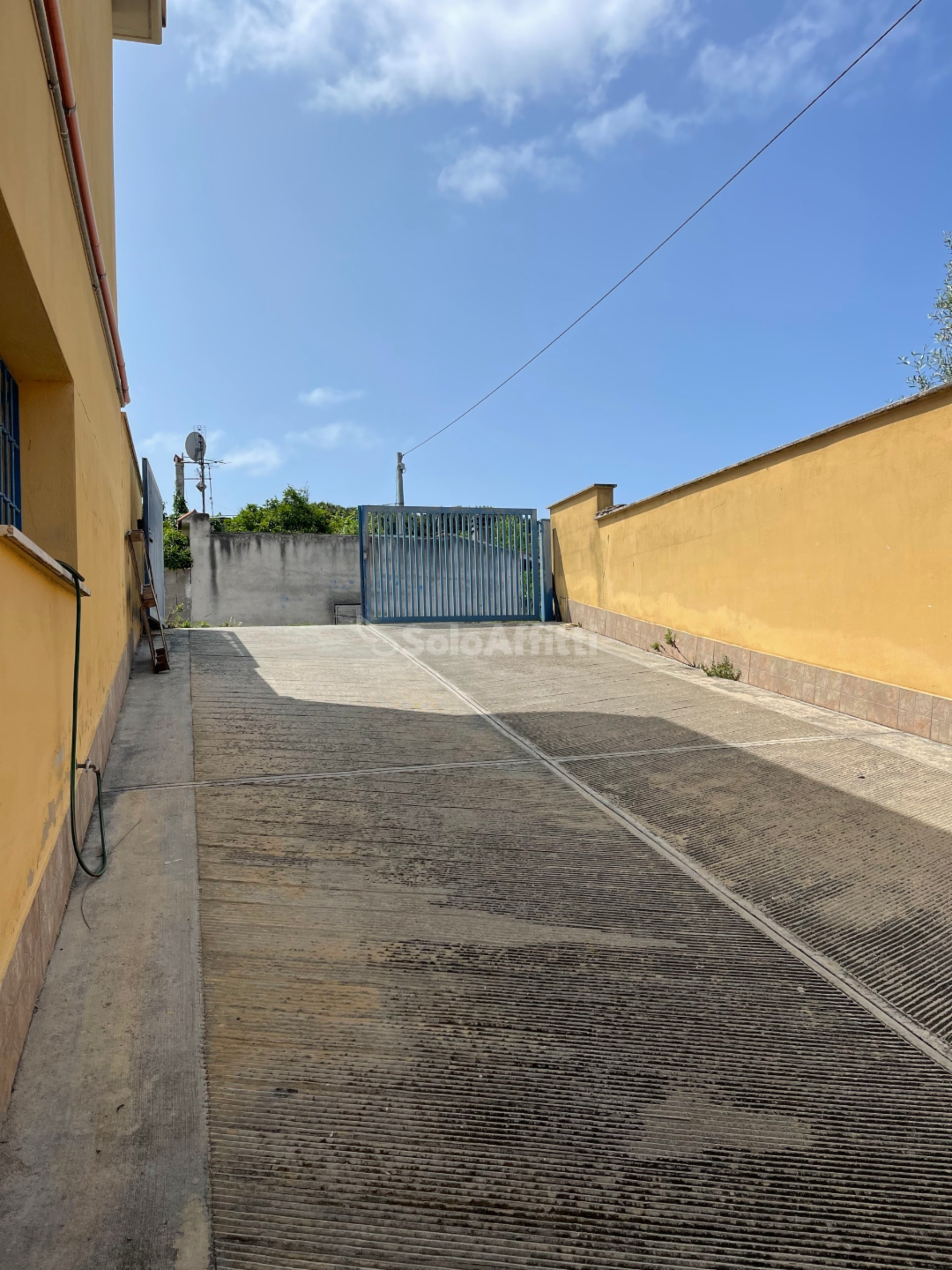 immagine annuncio 2 di 7