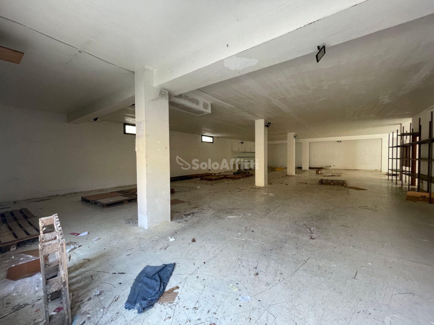 immagine annuncio 5 di 7