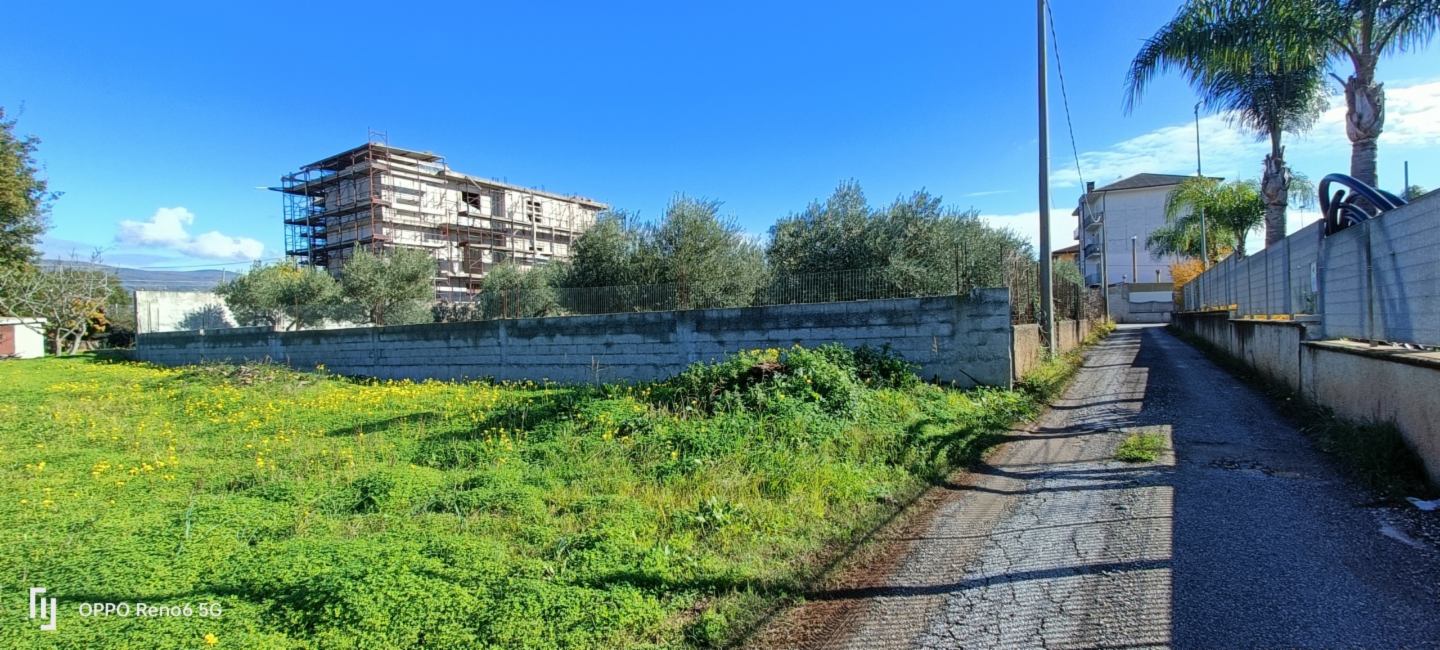 immagine annuncio 2 di 6