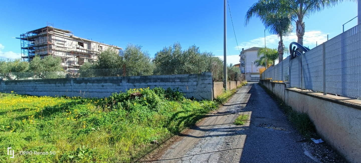 immagine annuncio 1 di 6