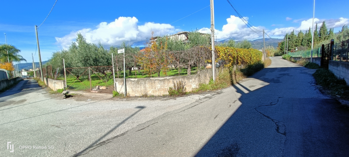 immagine annuncio 4 di 6